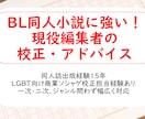 BLに強い！現役編集者が同人小説を校正します LGBT向けソシャゲ校正担当経験有／ジャンル不問、18禁可 イメージ1
