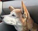 いろいろな悩み事を解決いたします 根本解決を目指します。皆さんスッキリしてくださいね。期間限定 イメージ1