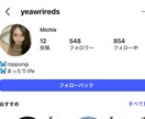 Instagramに鍵垢日本人ゆっくり増加します 1日10人増加の10日間で100人増加｜30日間補償 イメージ6