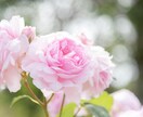 関西弁で頑張るママの愚痴や悩み、相談事をききます 頑張るママを応援隊　あなたの頑張りを誰よりも認めます イメージ9