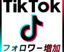 TikTokフォロワー増加！1000人宣伝します ティックトックフォロワー増加されるまで宣伝します！ イメージ1