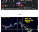 FXはこれを見たら他に何もいらなくなります FXでやる事はシグナル配信を受け取りそれ通りトレードするのみ イメージ4