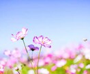 どう進めばいいのか、一緒に整理します 答えが見えなくても、いっしょに考えれば大丈夫。 イメージ1