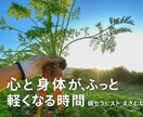 心と体が整う電話セッションます 深い静けさに戻る、整う時間　モニターセッション5枠限定 イメージ1