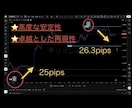 アラートにお任せ！レンジ用インジケーター提供します 5名の方のみオープン割引！50,000円にて販売予定のお品物 イメージ7