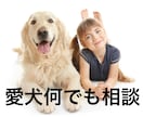 愛犬のことなんでも電話相談にのります 「愛犬にとっての幸せ」って何でしょう？ イメージ1