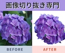 画像切り抜きを専門に行っています 切り抜いた画像でデザインの幅を広げよう！ イメージ1