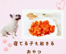 愛犬がまとわりついて離れないおやつお伝えします 無添加でおいしいストックもできる簡単レシピ イメージ1