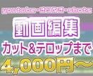 YouTube向けの動画編集代行をいたします カットもテロップも素材もOK！映像編集は丸投げ！ イメージ1