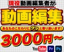 現役動画編集者★youtube向け動画編集します 細かいイメージやこだわりに寄り添いますッ！ イメージ1