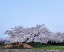 日本に住んでいる外国の方の証券口座開設を手伝います がいこくじんの しょうけんこうざをつくる てつだいを します イメージ1