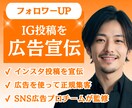 インスタ投稿を広告で宣伝します 広告でフォロワーと売り上げUP！SNS広告のプロチーム対応 イメージ1