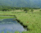自然写真、野生動物の写真などを提供できます 自然や動物の写真に特化した素材提供 イメージ1