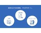 好評につき出品！プロがあなたのSNSコンサルします 複数のSNSを使いこなしてあなたのビジネスを次のステージへ。 イメージ2
