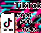 TikTok5000再生回数500いいね増加します Buzzってあなたも人気者の仲間入りに イメージ1