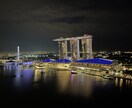 シンガポールでの生活、移住相談受けます 駐在員、現地採用で15年以上シンガポールに住んでいる経験から イメージ2