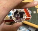 愛するペットのグッズつくります 愛するペットといつでもどこでも イメージ4