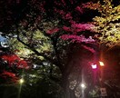 女性限定！NGなし！貴女の性の悩み聞きます DEEPな話、恥ずかしがらないで誰にでもある事 イメージ1