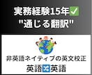 実務経験15年✅英英文章の校正に対応します 製造、商社の技術資料を“通じる英語”へ。 イメージ1