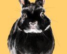 ペットの似顔絵お描きします 元日本画学科の美大生がお描きします イメージ5