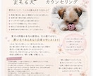 飼い主さん自身の軸を整えるお手伝いをいたします 『飼い主軸』を整えることで、愛犬との関係や人生の好転を目指す イメージ1