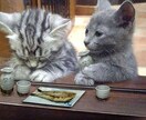 サンドバッグお貸しします 内気で優しく言いたいことも言えない方向け イメージ1