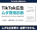 現役運用者がTikTok広告を診断します 「素材が当たらない」を数値で解明。CSVを送るだけで診断 イメージ1