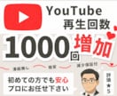 YouTubeの再生回数を+1,000回増やします 日本国内に拡散して再生回数が1,000回以上増加するまで宣伝 イメージ1