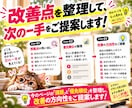 EC商品ページの改善点と優先順位を診断します 売れない原因はデザイン？競合・価格・訴求まで分析します イメージ4