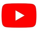 YouTuber必見！あなたの為の企画提案致します あなたの長所を引きだします！あなたのチャンネルまだ伸びます！ イメージ1