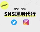 SNS運用(インスタ・Twitter)を代行します 実績獲得のため【8000円→5000円】 イメージ1