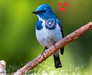かっこいいサムネなど作ります お客様からいただいた画像加工します動画のサムネなどにどうぞ イメージ4
