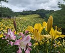 ご依頼者様の満足する旅行プランをご提案いたします 47都道府県回った経験で、年代・予算等に合わせた旅行をご提案 イメージ7