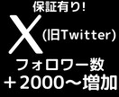 X (旧Twitter)のフォロワー数を増やします ＋2,000人増加、アカウントの価値やイメージの向上に イメージ1