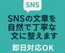 SNSの文章を自然で丁寧な文に整えます やさしく読みやすい文章に仕上げます。即日OK イメージ2