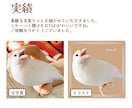 動物のイラストお描きします 小動物から爬虫類まで！どんな動物もリアルでやわらかい雰囲気に イメージ2