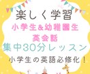 小学生&幼稚園生の英語学習！楽しくおこないます 定期コース　月4回レッスン　30分学習⭐︎ イメージ1