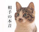 即対応/お相手の本音を霊視します 霊視で相手の本音を知り、より深い関係に。 イメージ1