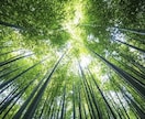 悪縁・執着を浄化｜霊視で波動と縁をリセットします 人間関係のモヤモヤ、霊視で整え、新たなご縁を呼び込みます イメージ3