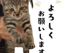 ペット写真からLINEスタンプ16個セット作ります ☆大切なペットをオリジナルLINEスタンプに イメージ10