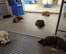 海外生活情報お伝えできます 現在もノマド生活中なので、フレッシュな情報をお伝え出来ます。 イメージ1
