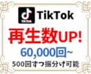 TikTok再生回数+60000増加まで集客します ティックトック再生数が増えるまで宣伝・拡散✨振分け無料 イメージ1