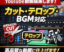 YouTube動画編集(解説/ビジネス対応)します 視聴者に伝わるYouTube動画編集を丁寧に制作いたします イメージ1