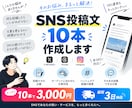SNSで伝わる投稿文を10本作成します 投稿ネタから文章まで、SNS発信をまとめてサポート イメージ1