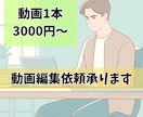 動画1本3000円～お安く動画編集依頼承ります カット編集・テロップ入れ・BGMやSEの挿入など対応可能です イメージ1