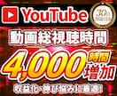 YouTube収益化へ！視聴1000時間増やします 業界最安級！【30日保証付】収益化・伸び悩み改善に最適！ イメージ1
