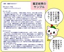 驚きの納得感！アラビアの神秘ジオマンシーで占います 仕事も恋も人間関係も！どんな悩みも現実的な解決へ導きます イメージ3