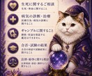 月猫占い師がお悩みを占います 恋愛や仕事のお悩みに寄り添います イメージ5