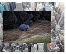 年末年始・帰省・親戚疲れ・嫁姑…全ストレス聴きます 恐怖の里帰り季節で増えた全モヤモヤをプロカウンセラーへ相談 イメージ2