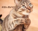 恋人のうつ病に寄り添う方法アドバイスします 恋人がうつ病で悩んでいる方のお話をお聞きします。 イメージ7